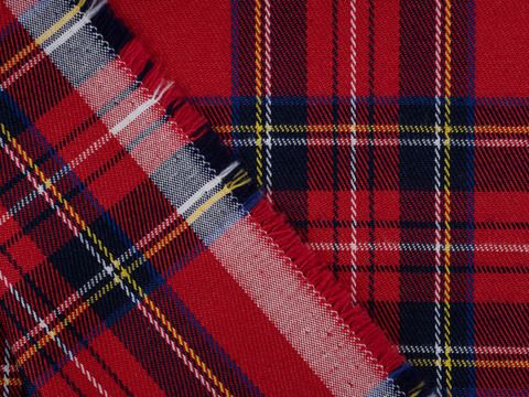 Шотландка стрейч ТРАСТКОТ - красный-синий