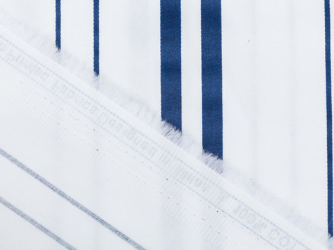 Ткань BUTTER STRIPE PRT-D27 C002(white-blue)