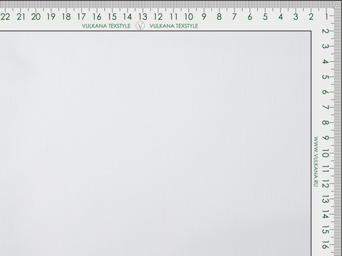 Поплин БЛЭКБЕРРИ из поливискозы - белоснежный