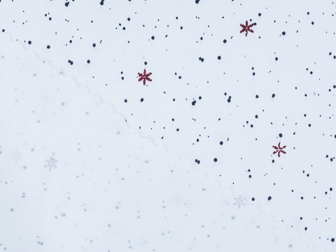 Ткань HURACAN PRT-D07 C007(white-multi)